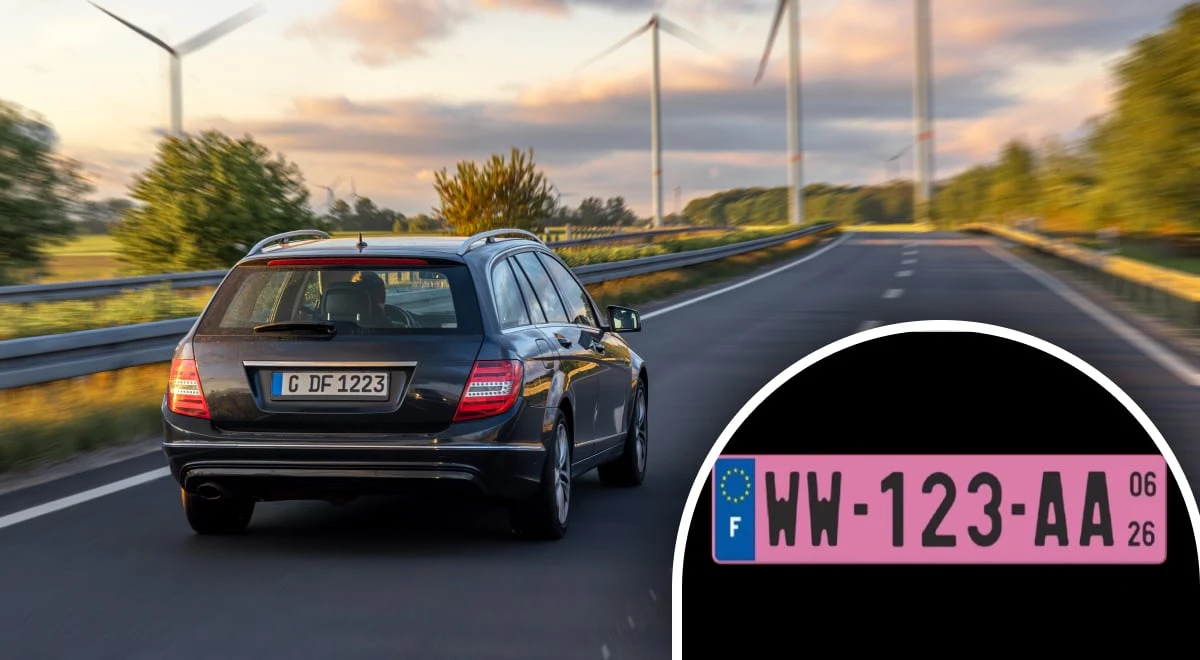 Від 2026 року на дорогах з’являться рожеві автомобільні номери: подробиці