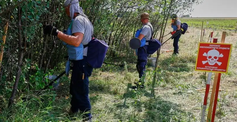 Як у Харківській області звільняють землю від мін