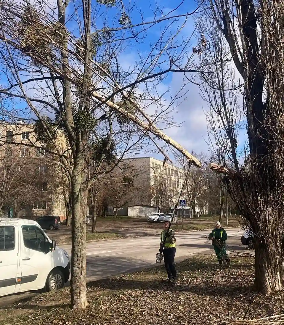 Буревій у Харкові зніс дерева та пошкодив покрівлі будинків