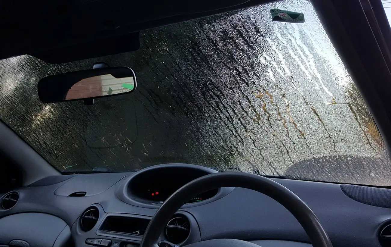 Зимова помилка водіїв: чому скло в авто пітніє і як це зупинити
