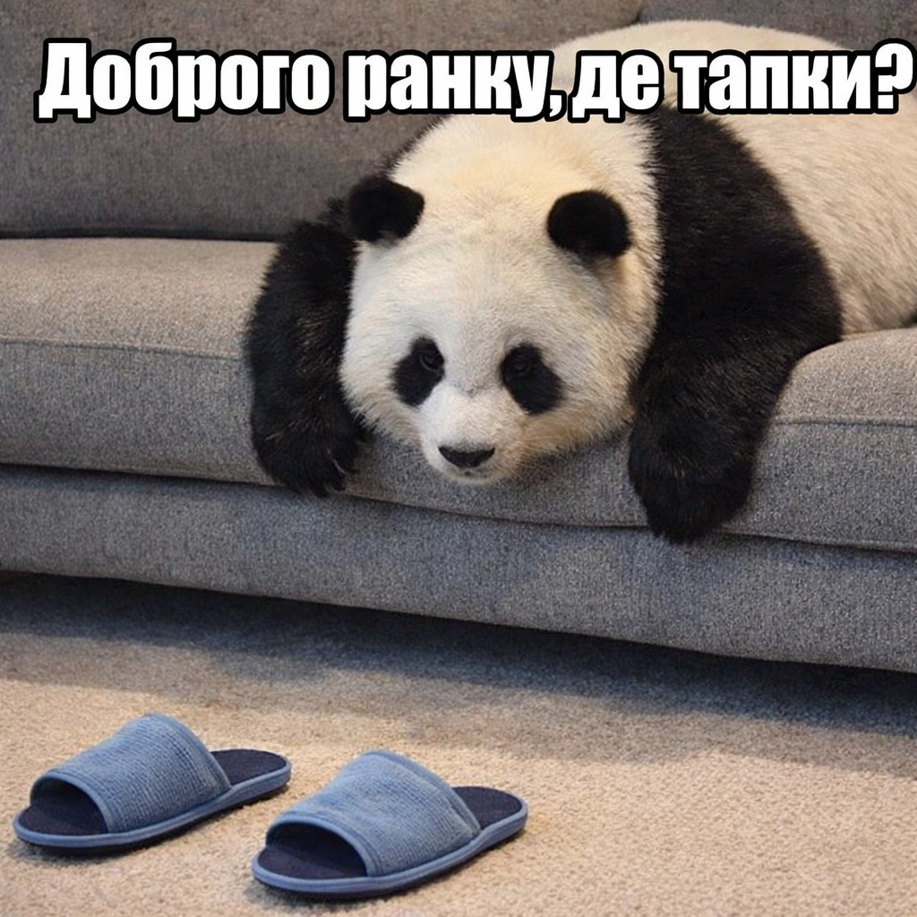 Доброго ранку: нові картинки та смішні приколи для вашого настрою