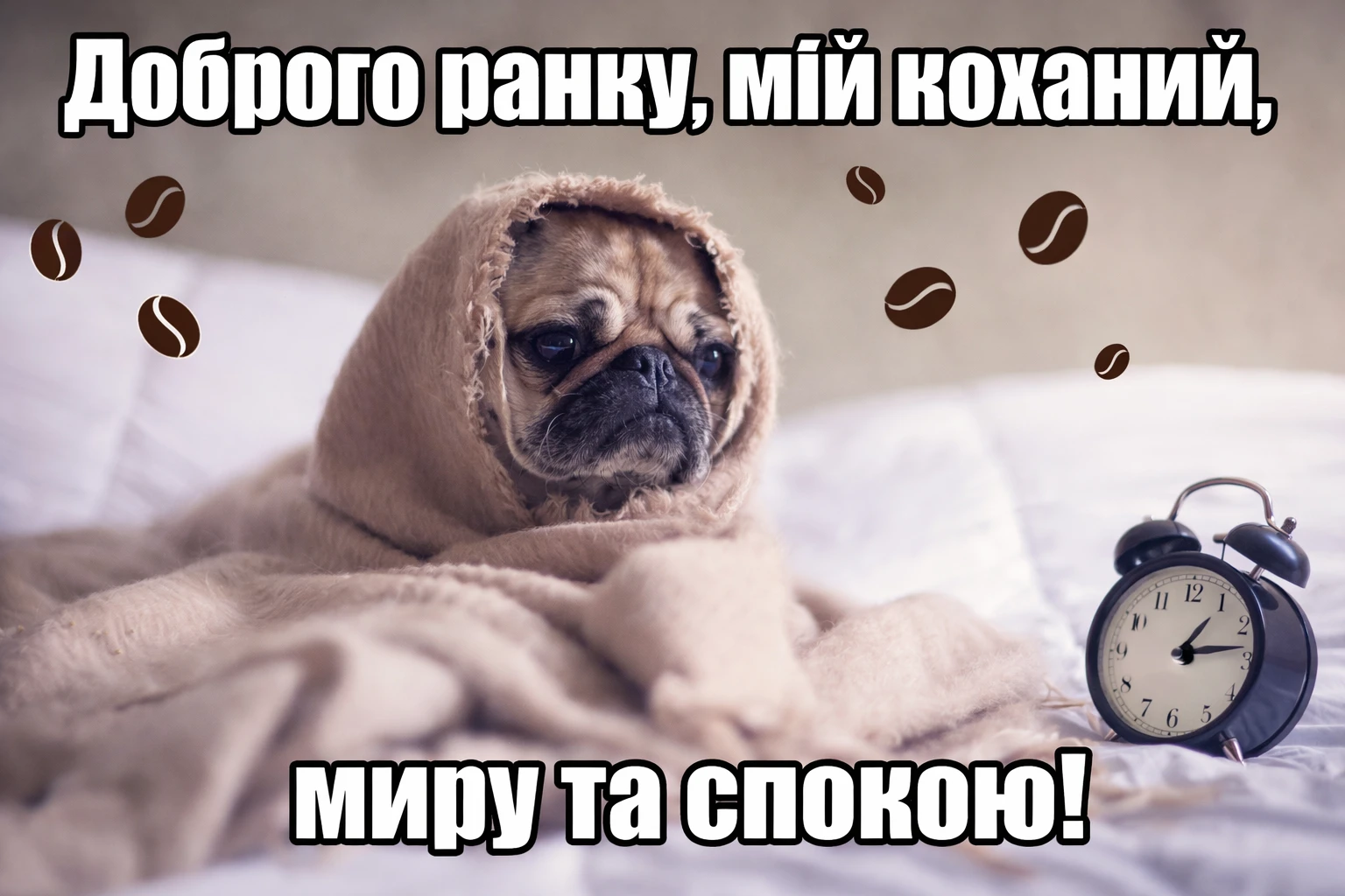 Доброго ранку, коханий чоловіку: найтепліші побажання та красиві картинки для вашої половинки